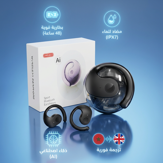 3-in-1 Translation Earphones AI Auto Voice